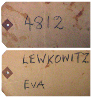 Eva Lewkowitz. John Neville Cohen