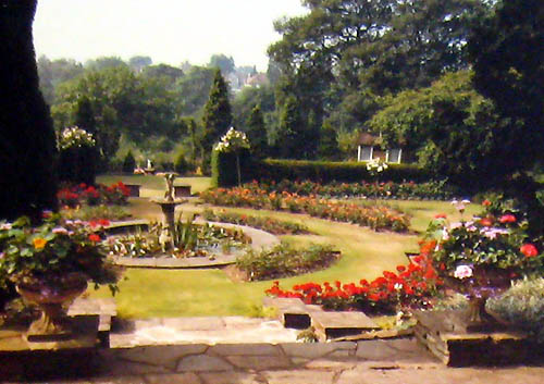 Woodbourne Rd-Flowers