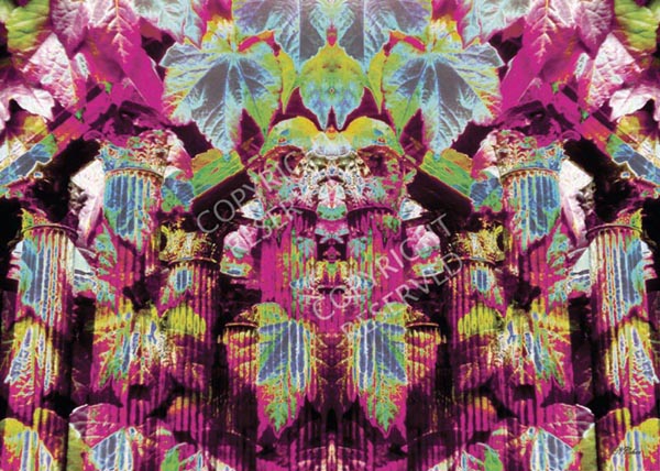 Ivy Ruins 14B, Limited Edition by John Neville Cohen Roman columns, Ivy leaves, Purple
