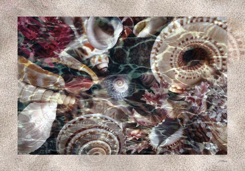 Large limited edition prints, High Value, Big, John Neville Cohen, Wet Shells Sand 40, beige, brown, grey