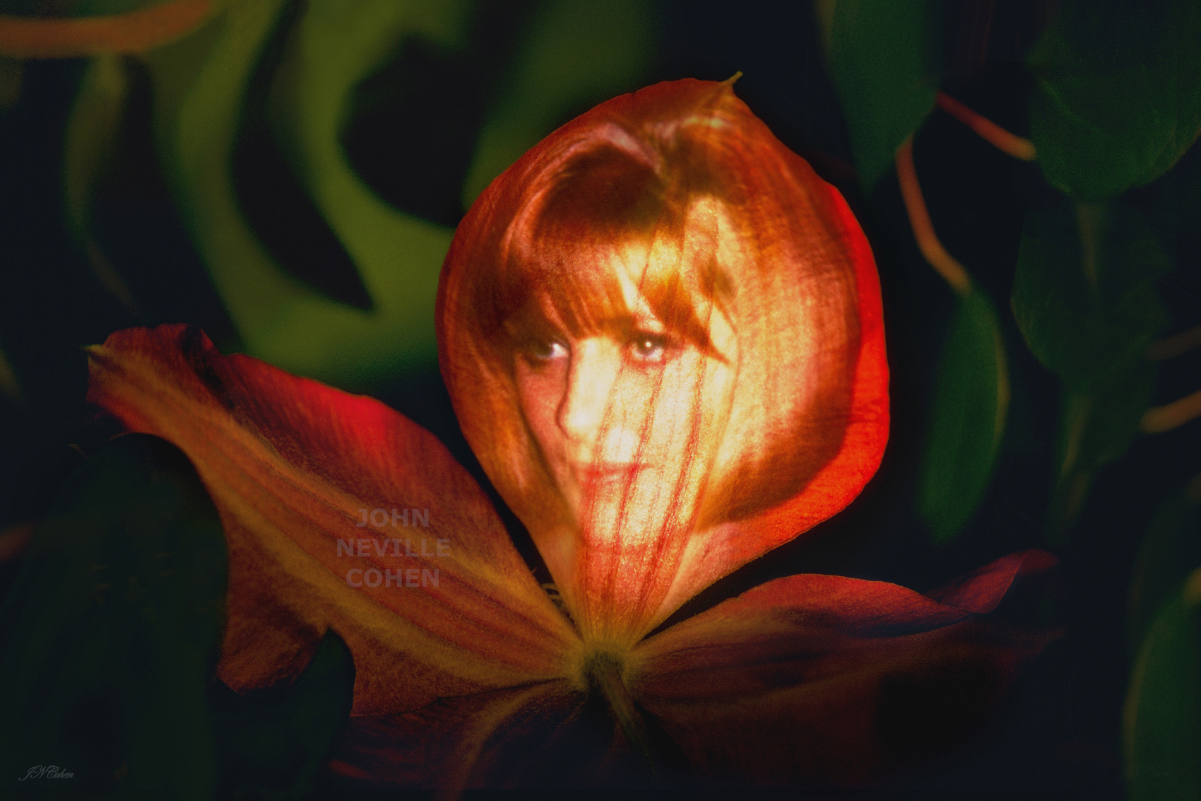 Flower Maiden, Painting with Light Projection Photography Limited Edition Prints for sale, maximum of 8, by John Neville Cohen.