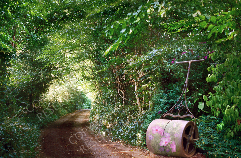 Garden roller, Country Lane, Flowers, Flora, Trees, Limited edition prints, Roller 51 by John Neville Cohen