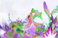 John Neville Cohen, Flower Power 20C, Mauve, Green, Purple, White