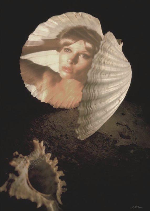 Large limited edition prints, Big, John Neville Cohen, Sea Nymph's Mirror, Shells, Woman, Beige, Orange, Brown