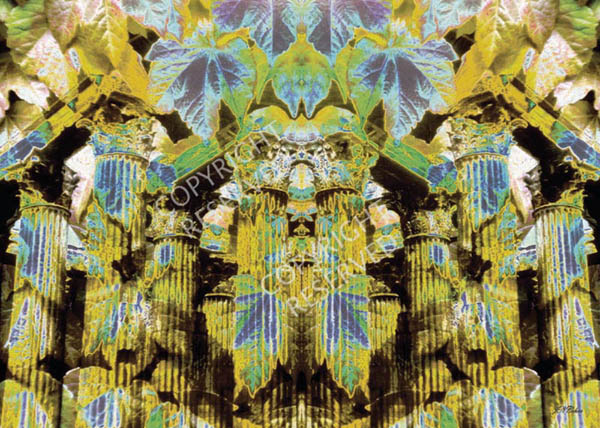 Ivy Ruins 14C, Limited Edition by John Neville Cohen Roman columns, Ivy leaves, Yellow