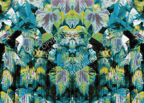 Ivy Ruins 14D, Limited Edition by John Neville Cohen Roman columns, Ivy leaves, Blue