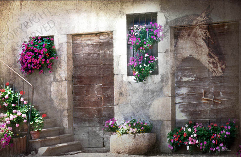 Annecy 55, Horse, Flowers, Flora, stable, Fantasy, Limited edition print, John Neville Cohen