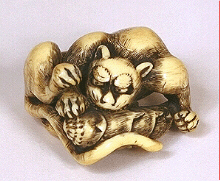 Early ivory netsuke of a tiger eating a bamboo shoot, late 18th century.  Unsigned, Kyoto.