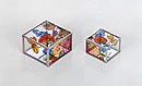 Glass Boxes for the Glass Company trade brochure by John Neville Cohen