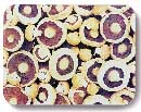 Mushrooms Photography and Concept by John Neville Cohen