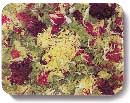 Salad Photography and Concept by John Neville Cohen