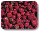 Strawberries Photography and Concept by John Neville Cohen
