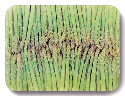 WorkTop Saver, Asparagus by John Neville Cohen