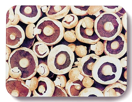 WorkTop Saver, Mushrooms by John Neville Cohen