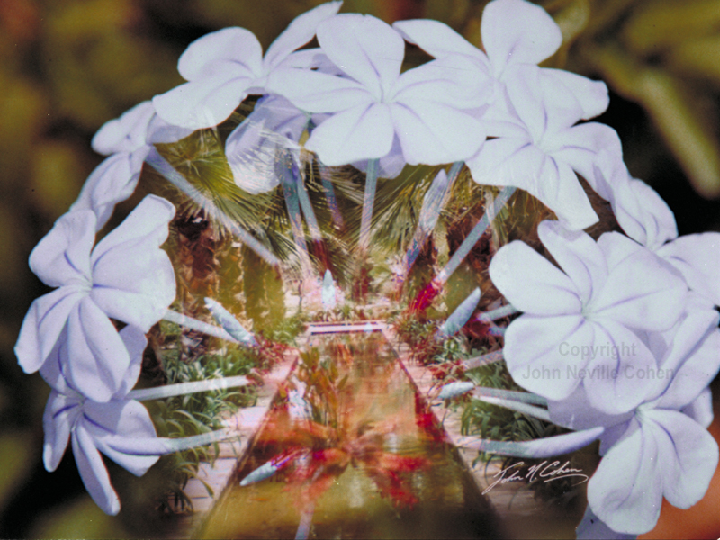 Garlands of Repose, a Painting with Light projection photograph created by John Neville Cohen using Kodachrome transparency film.