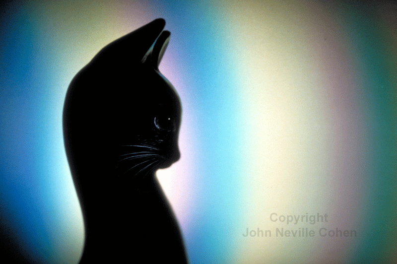 Cat's tenth life, by John Neville Cohen.