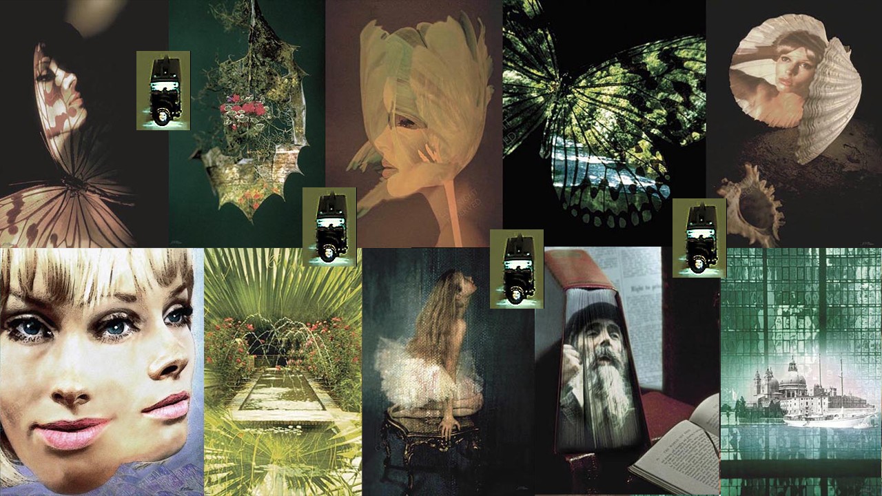 Projection Photography with Kodachrome by John Neville Cohen